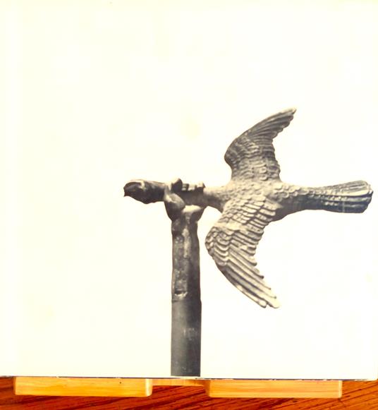 Trubbiani - copertina