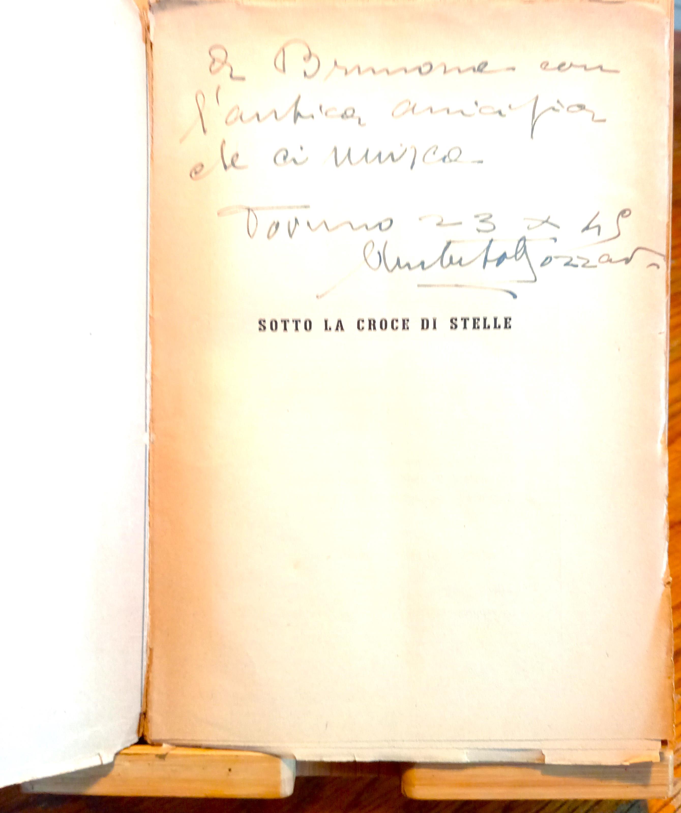Sotto la croce di stelle. L'eroica avventura dei fratelli Vivaldi nella storia e nella leggenda