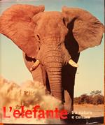 L' elefante tra natura e cultura