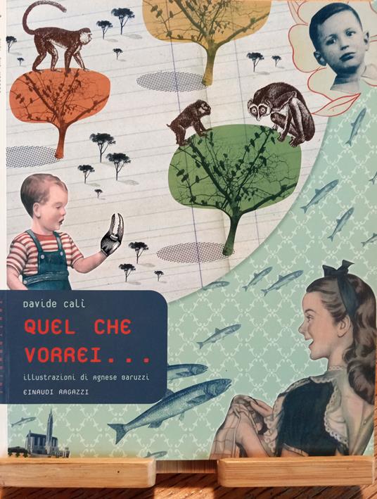 Quel che vorrei. . - Davide Calì - copertina