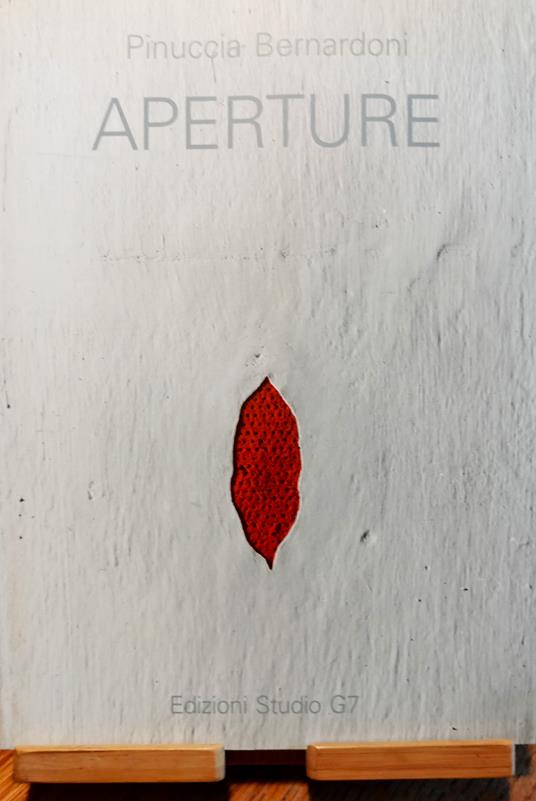 Pinuccia Bernardoni. Aperture - Giovanni Maria Accame - copertina