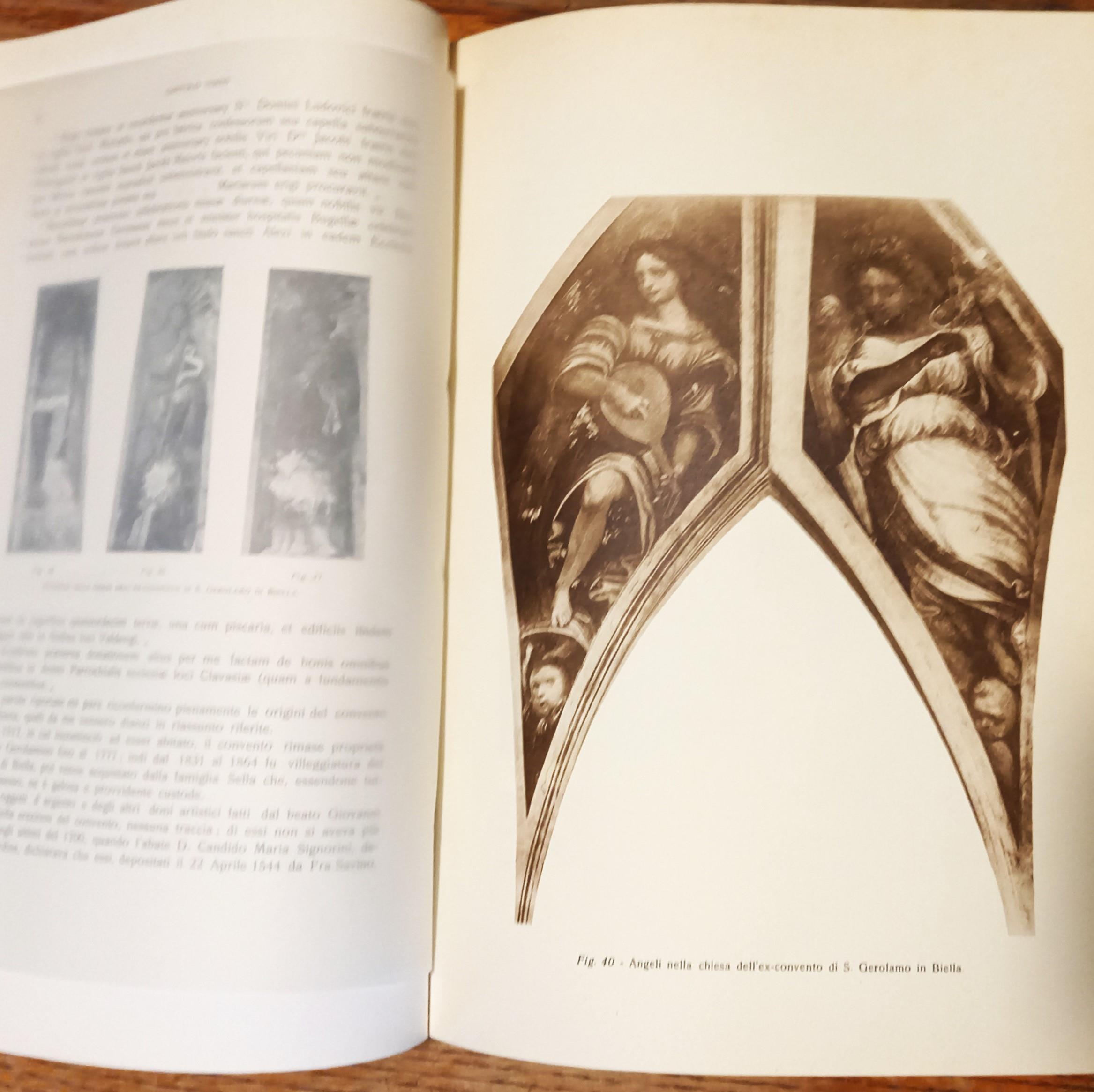 L' Arte nel Biellese