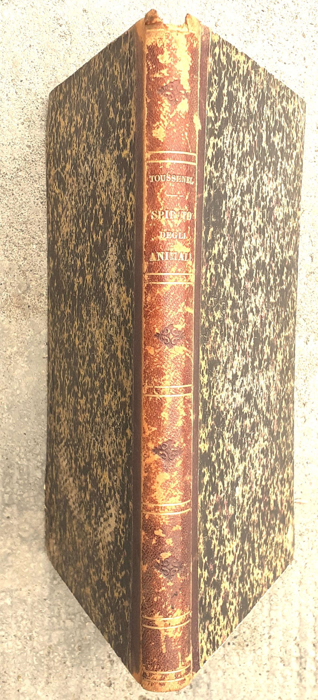 Lo spirito degli animali