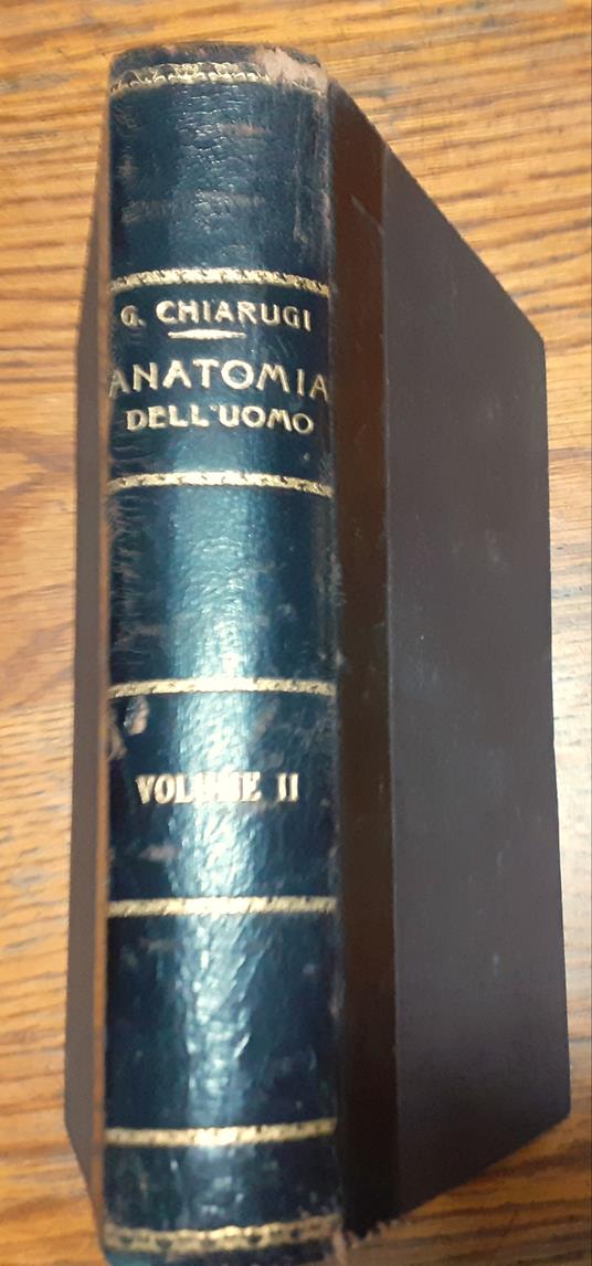Istituzioni di anatomia dell'uomo. Volume secondo. Anatomia sistematica: apparecchio muscolare - apparecchio vascolare - Giulio Chiarugi - copertina