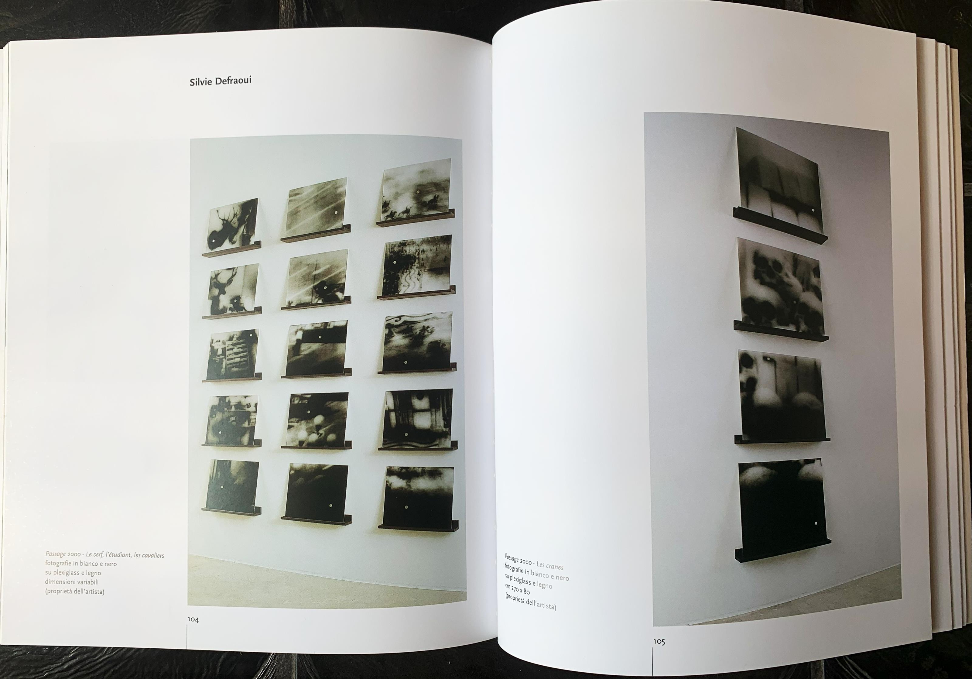 IX Biennale Internazionale di Fotografia/ IX International Biennial of Photography