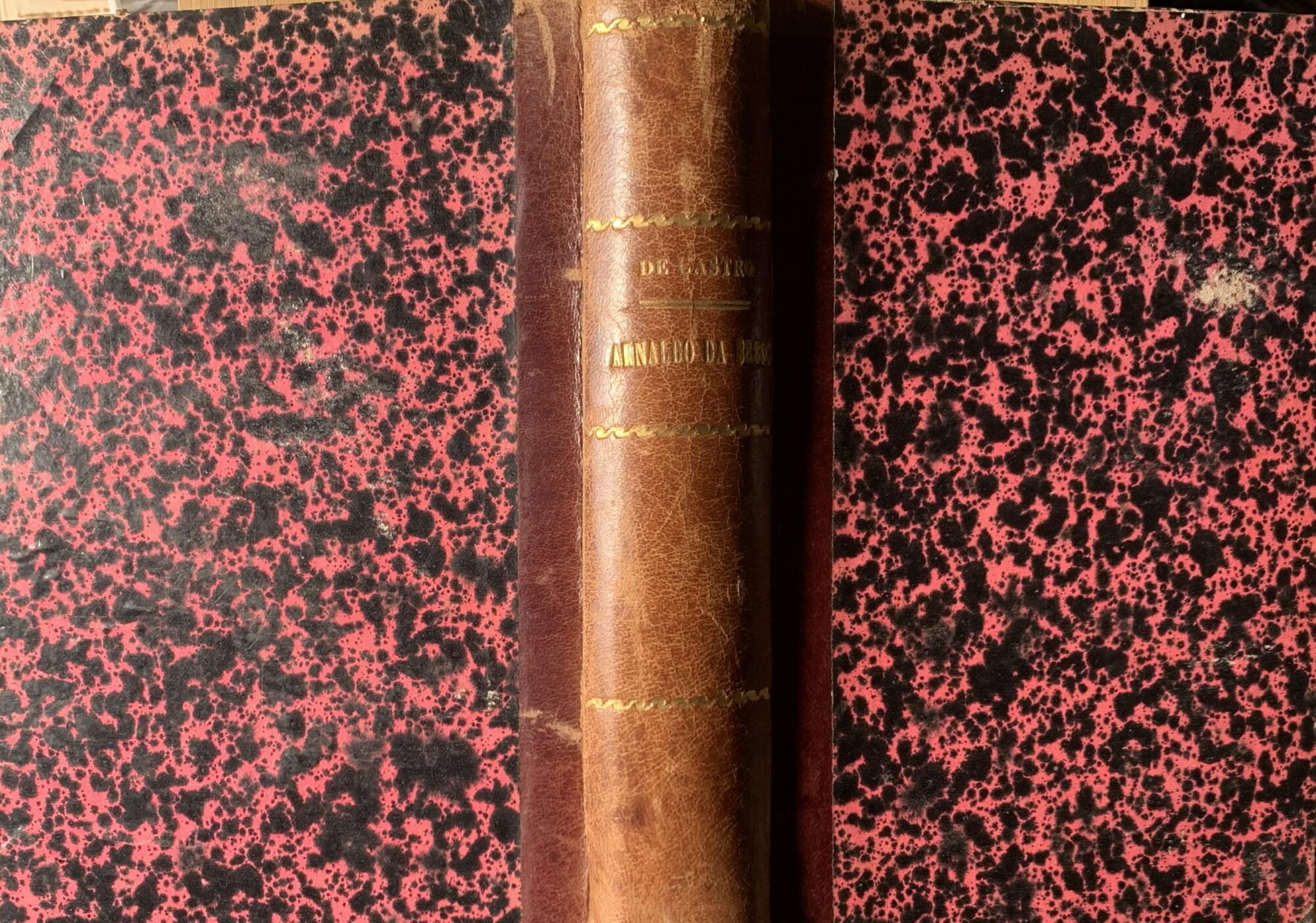 Arnaldo da Brescia e la rivoluzione romana del XII secolo