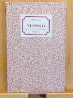 Nespolo ovvero il pretesto del funzionale Torino 1981
