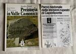 Preistoria in Valle Camonica. Itinerari illustrati dei siti e dell'Arte Rupestre