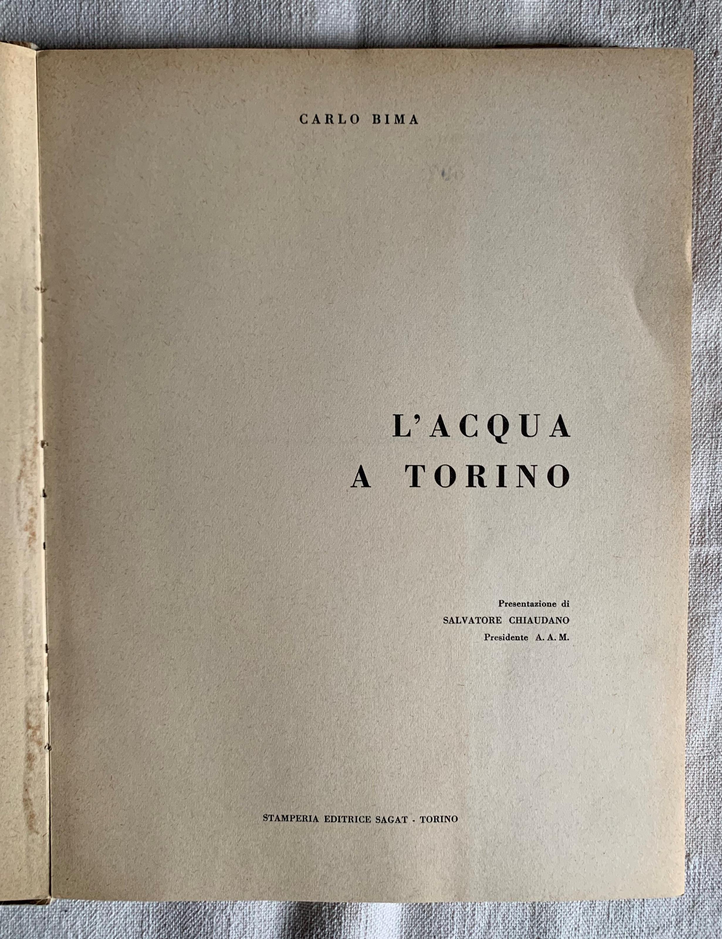 L' acqua a Torino