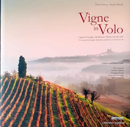 Vigne in volo Langhe, Monferrato e Roero 2013 - copertina