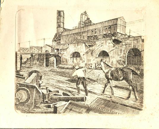 Acquaforte originale di Salvatore Cottone incisore ed illustratore Palermitano - copertina