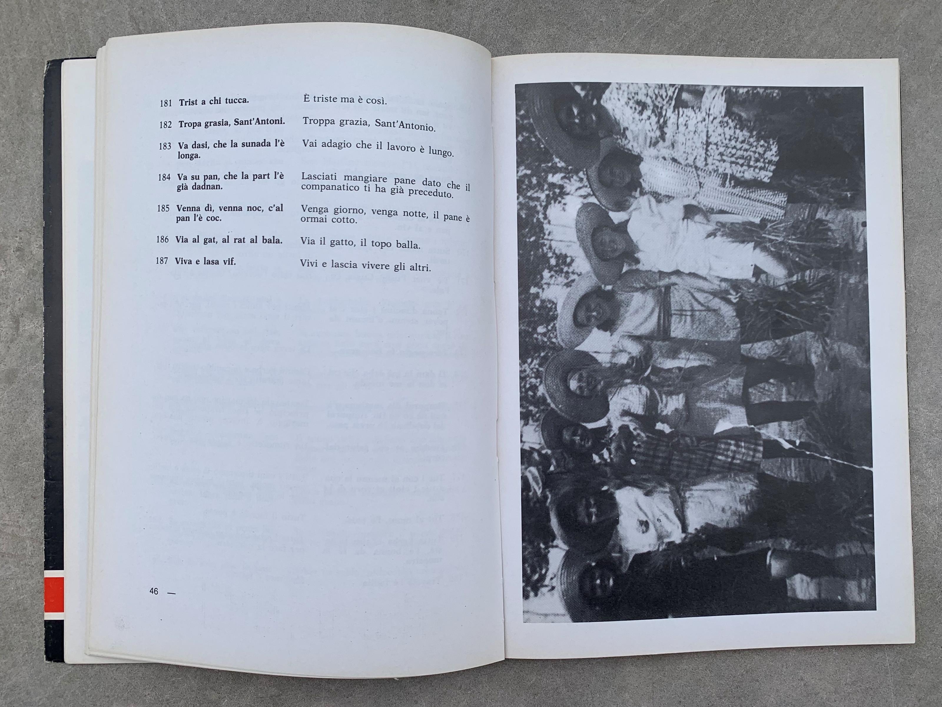 Rosasco: dialetto che vive. Detti e proverbi