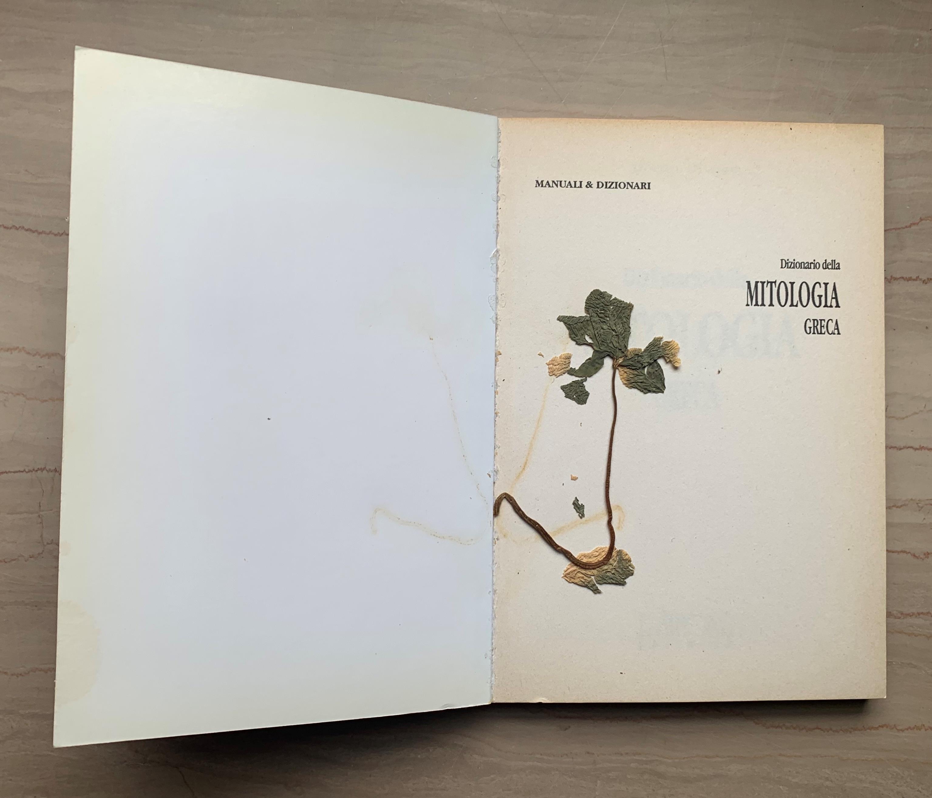 Dizionario della MITOLOGIA GRECA. Tutto sugli dei, gli eroi, i culti, le città, i templi e i luoghi sacri dell'antica Grecia