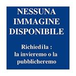 Il tesoro della Sierra Madre: romanzo. Traduzione dall’inglese di Teresa Pintacuda. La gaja scienza 33
