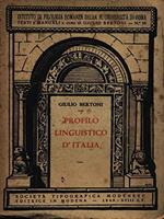 Profilo Linguistico D'Italia