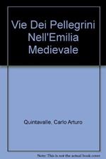 Vie dei pellegrini nell'Emilia Medievale