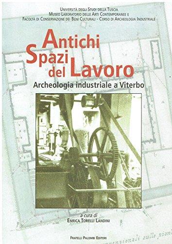 Antichi spazi di lavoro - Enrica Torelli Landini - copertina