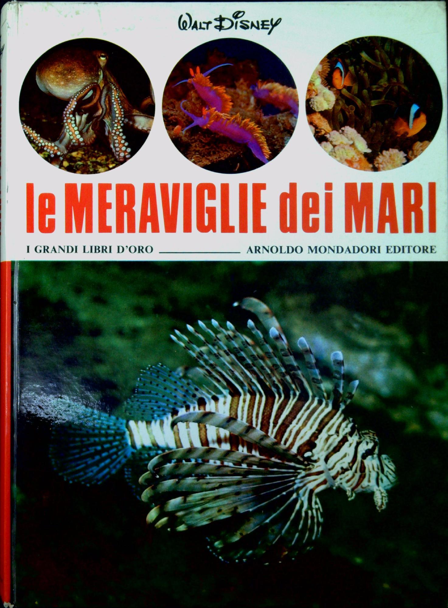 Libreria Serendipity