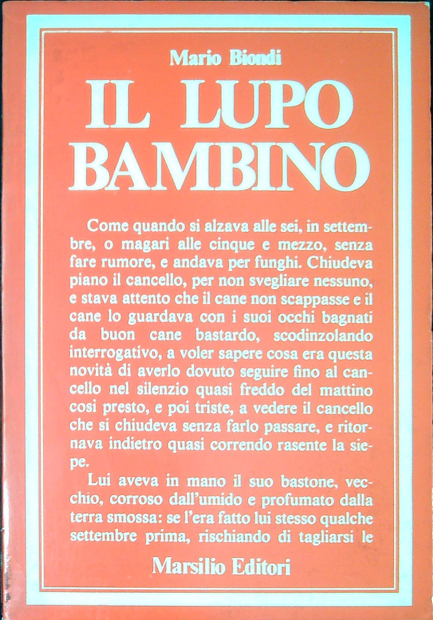 Libreria Serendipity