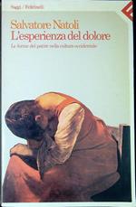 L' esperienza del dolore. Le forme del patire nella cultura occidentale