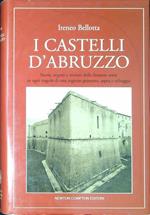 I castelli d'Abruzzo : storie, segreti e misteri delle fortezze sorte in ogni angolo di una regione generosa, aspra e selvaggia