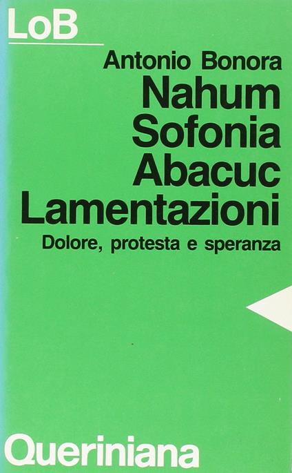 Nahum, Sofonia, Abacuc, Lamentazioni. Dolore, protesta e speranza - Antonio Bonora - copertina