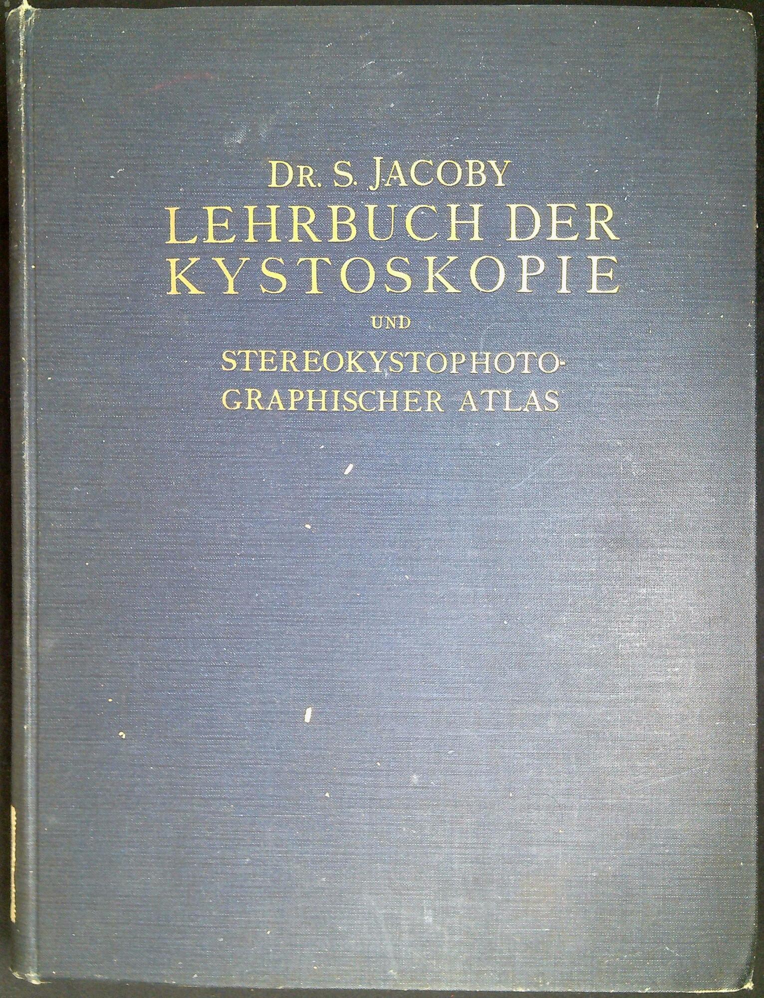 Libreria Serendipity