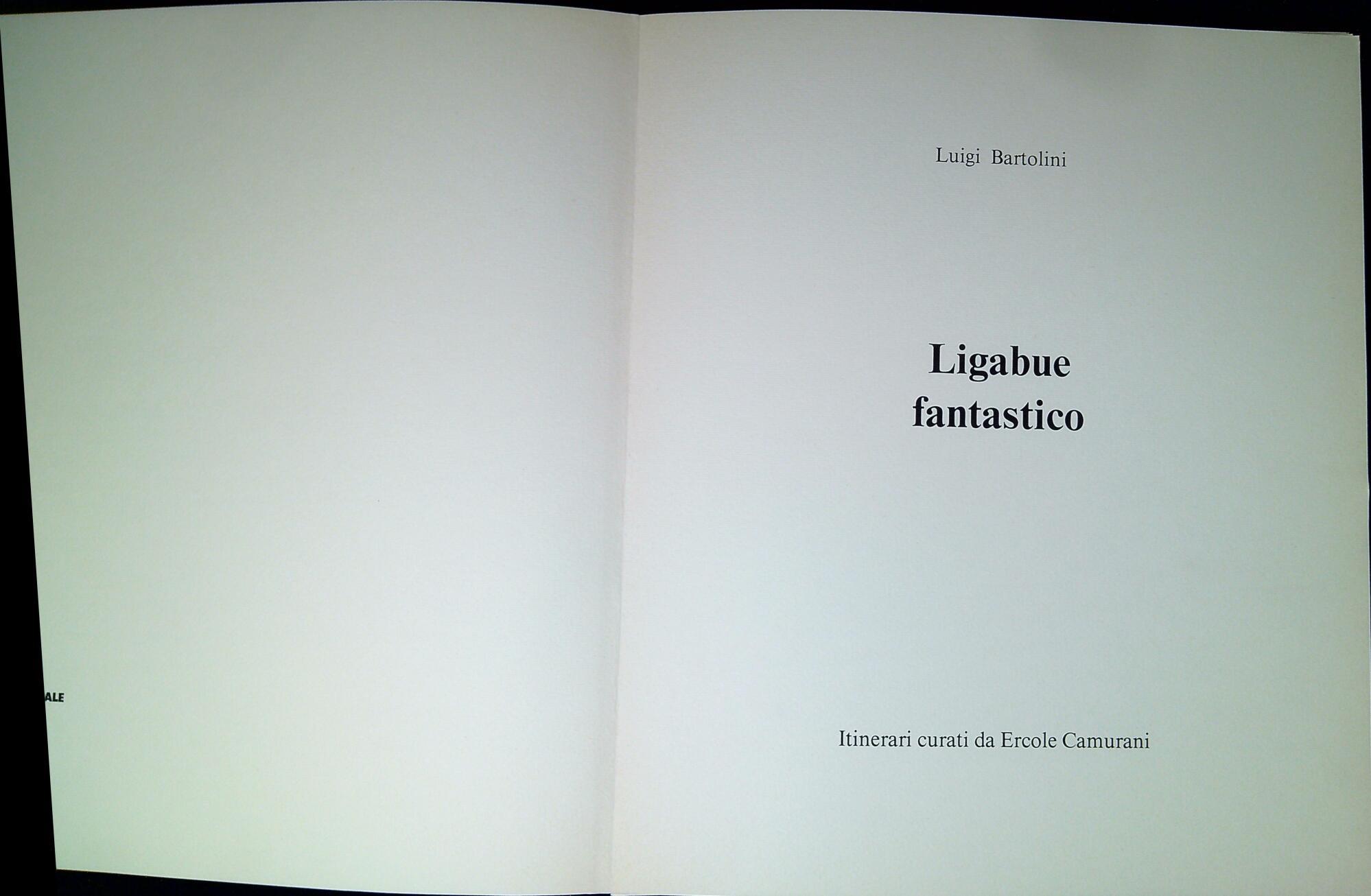 Libreria Serendipity