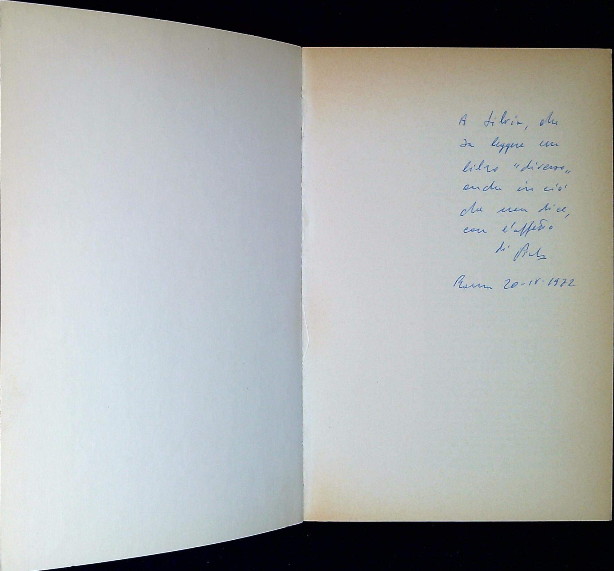 Libreria Serendipity