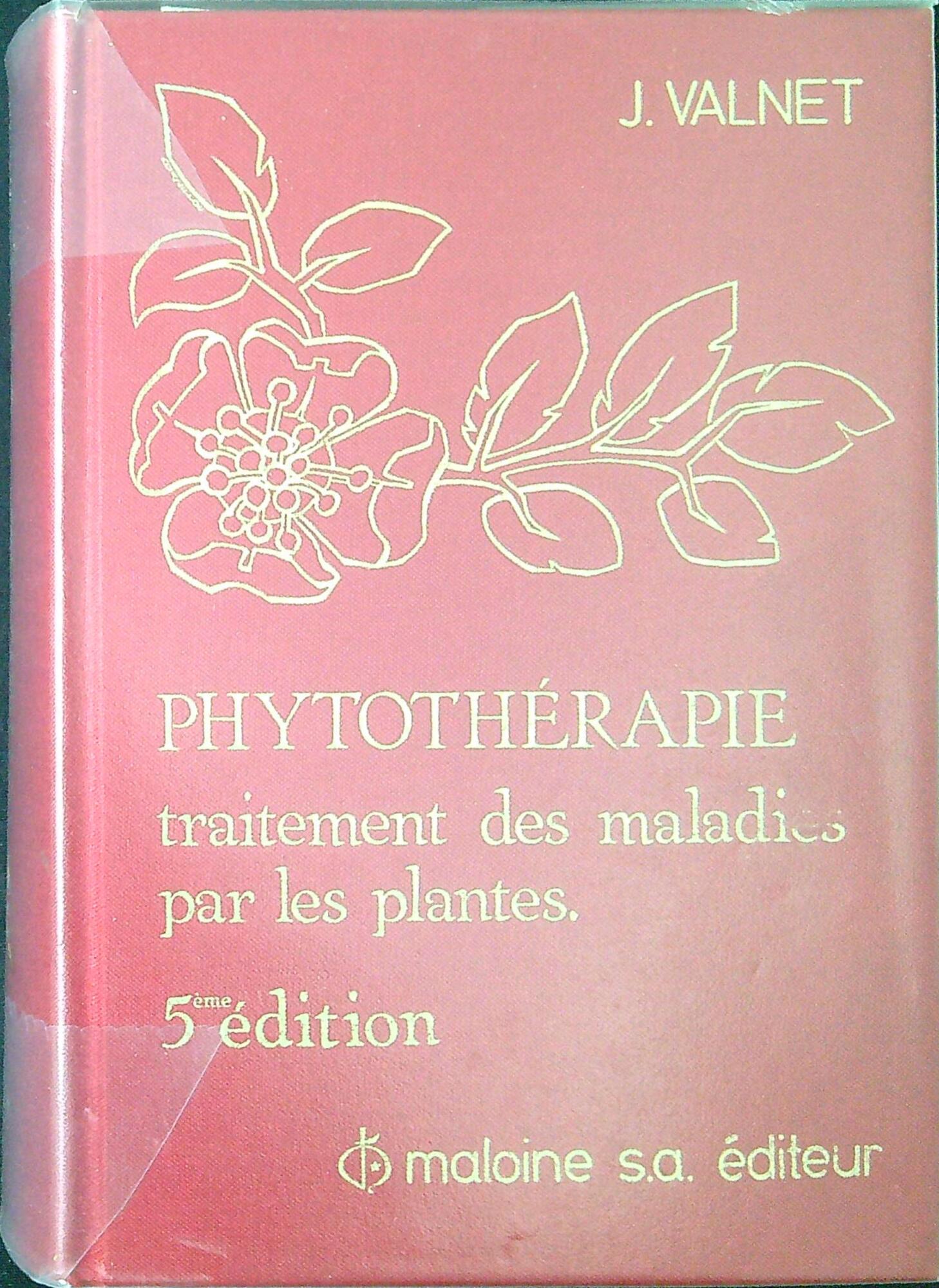 Libreria Serendipity