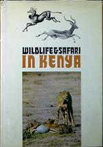 Wildlife & safari in Kenya