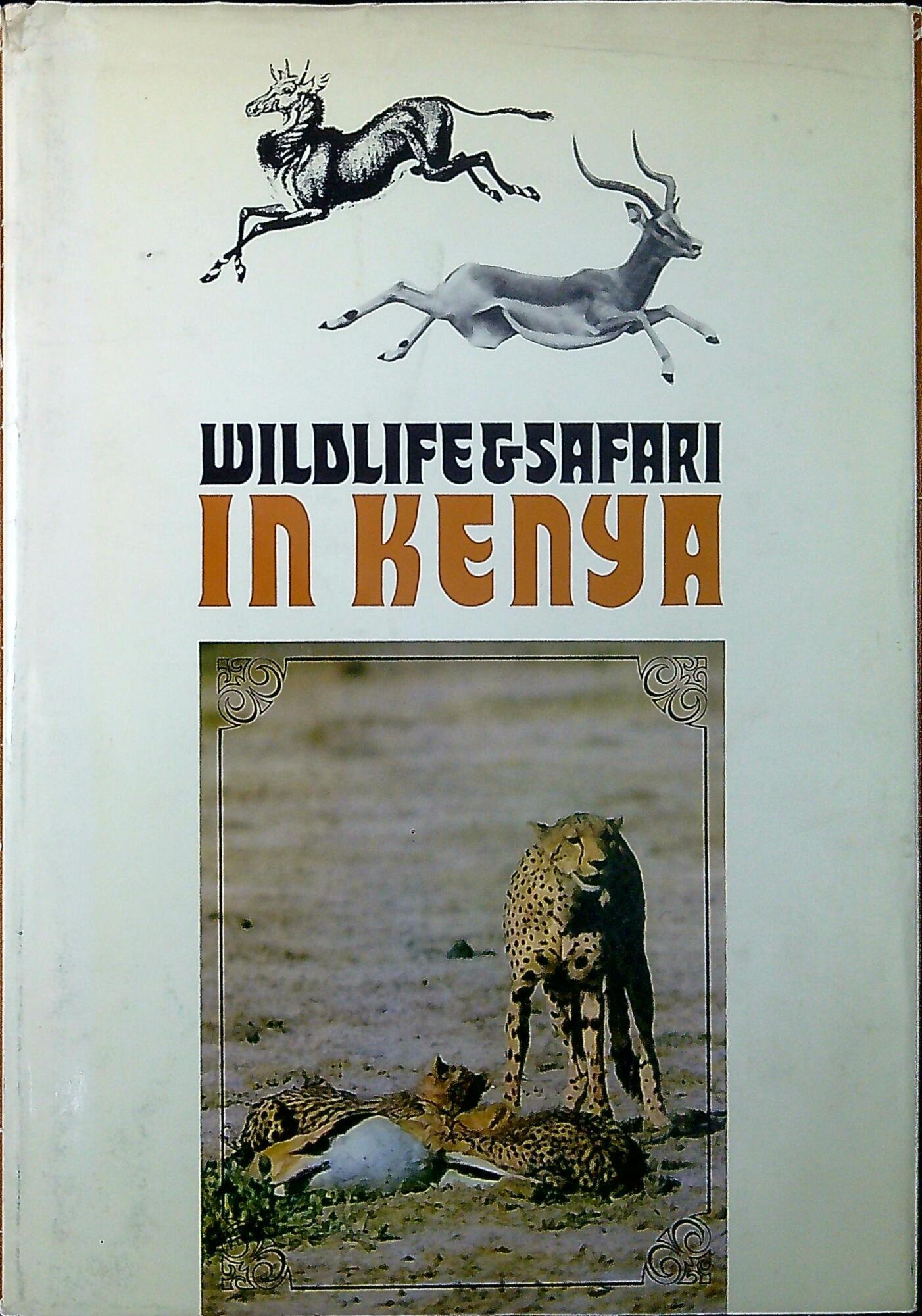 Libreria Serendipity