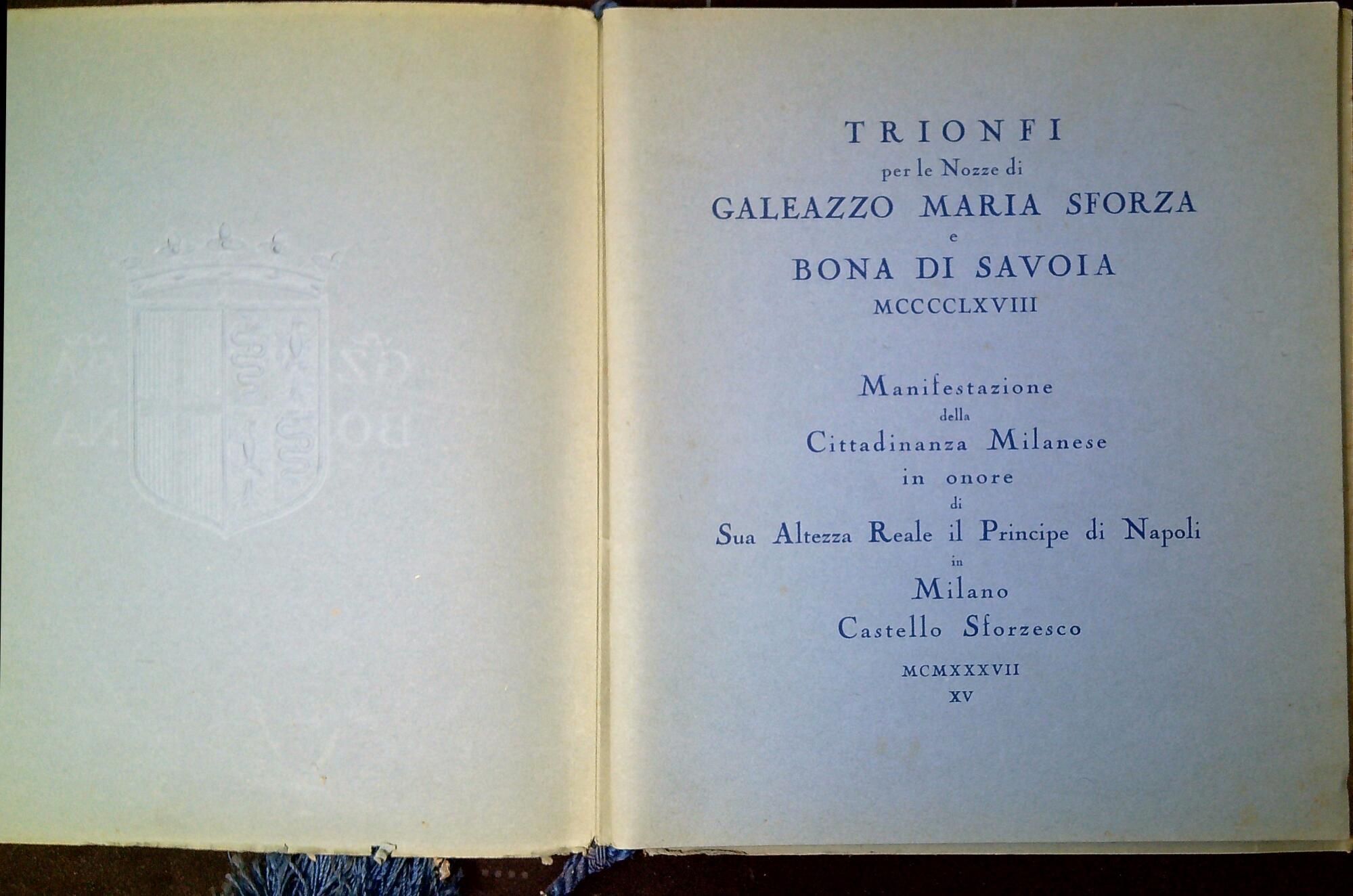 Libreria Serendipity