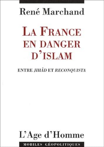 La France en danger d'islam.: Entre Jihâd et Reconquista - copertina