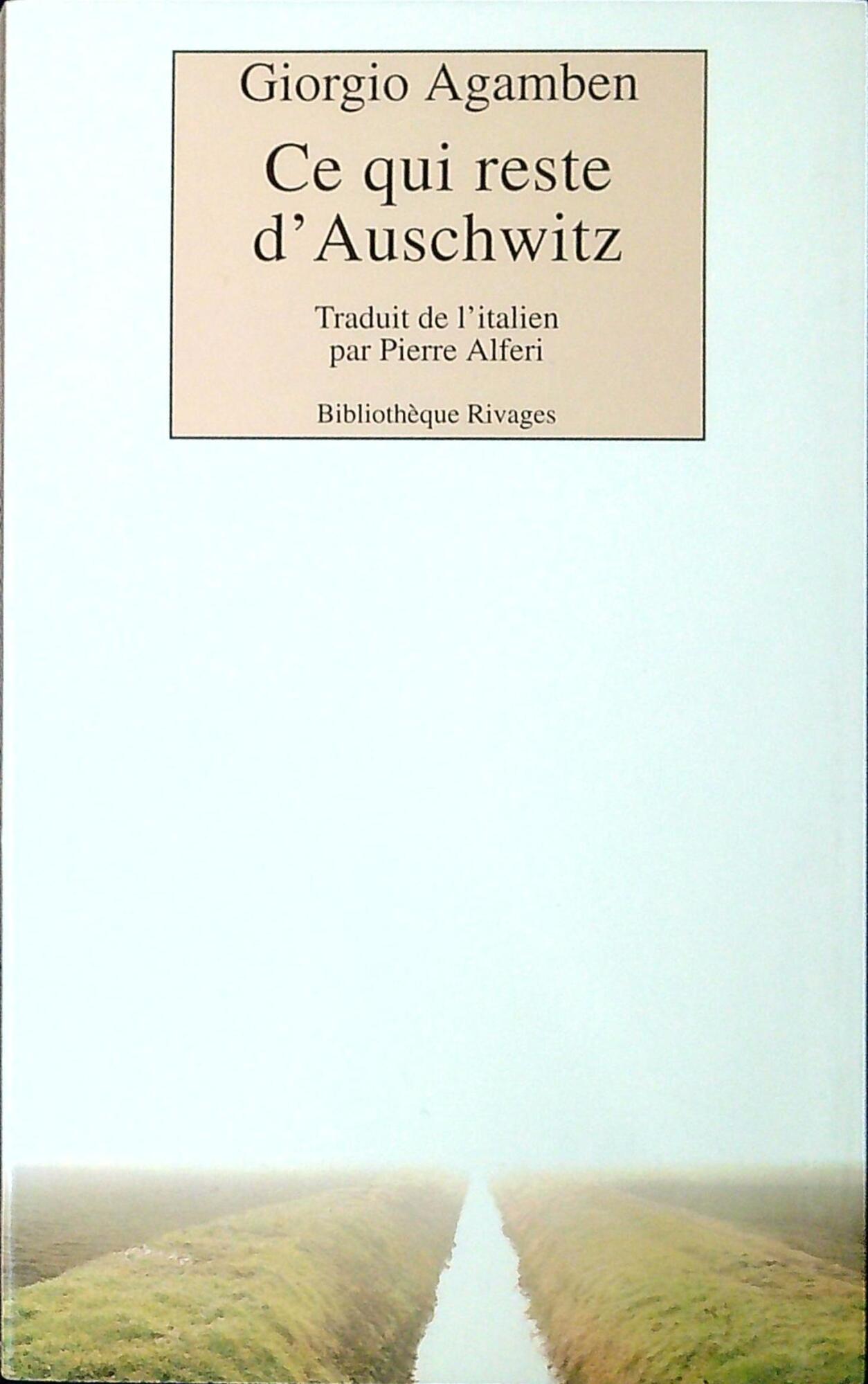 Libreria Serendipity