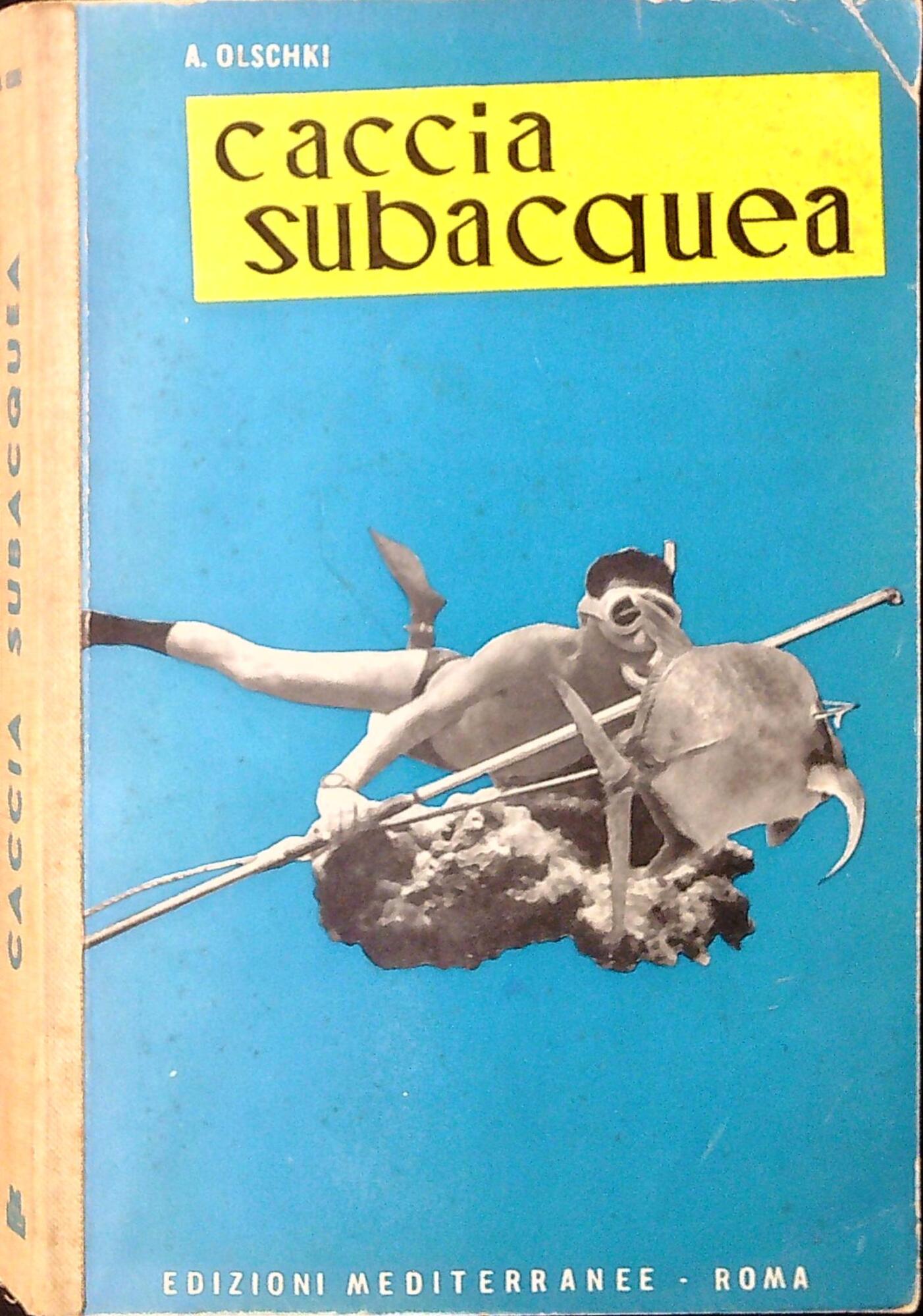 Libreria Serendipity