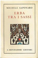 Erba tra i sassi