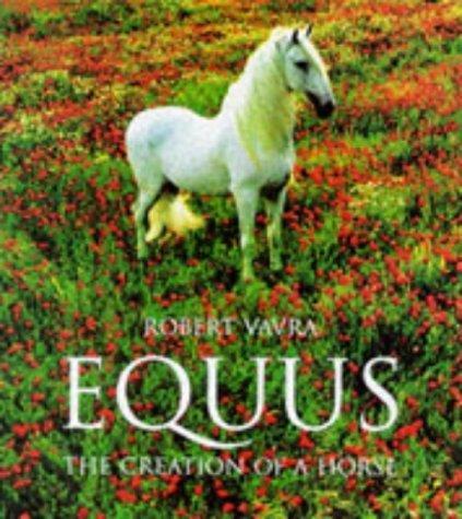 Equus: The Creation of a Horse (Evergreens) by Robert Vavra (1998-05-01) - Robert Vavra - copertina