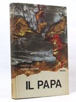 Il Papa