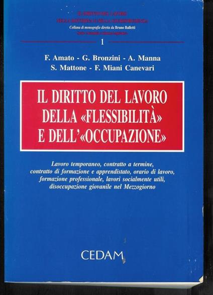 Il diritto del lavoro, della flessibilità e dell'occupazione : lavoro temporaneo, contratto a termine, contratto di formazione e apprendistato, orario di lavoro, formazione professionale, lavori socialmente utili, disoccupazione giovanile nel Mezzogi - copertina