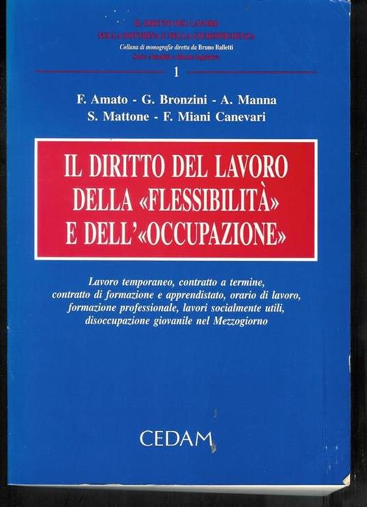 Il diritto del lavoro, della flessibilità e dell'occupazione : lavoro temporaneo, contratto a termine, contratto di formazione e apprendistato, orario di lavoro, formazione professionale, lavori socialmente utili, disoccupazione giovanile nel Mezzogi - copertina