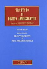 Trattato di diritto amministrativo : Provvedim. atti amministrativi: Vol. 3