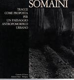 Somaini. Tracce come proposta per un paesaggio antropomorfico urbano