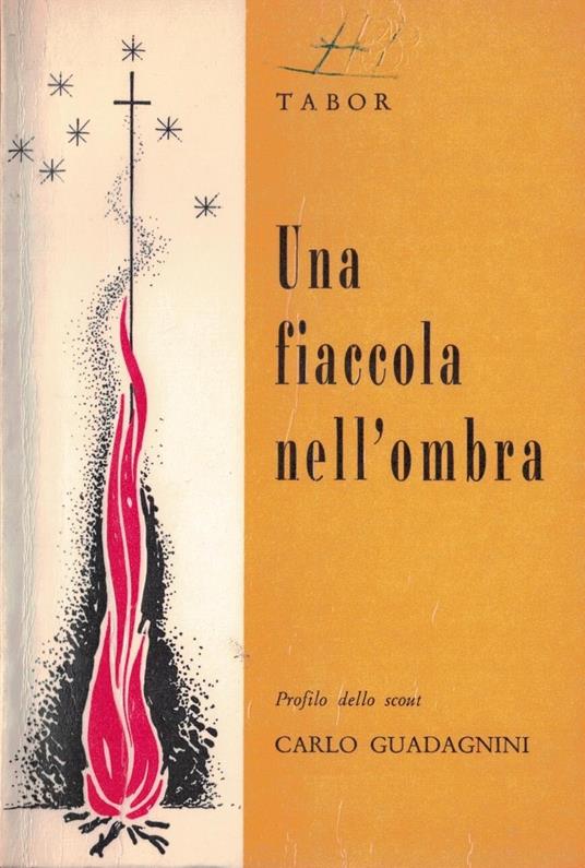 Una fioccola nell'ombra - copertina
