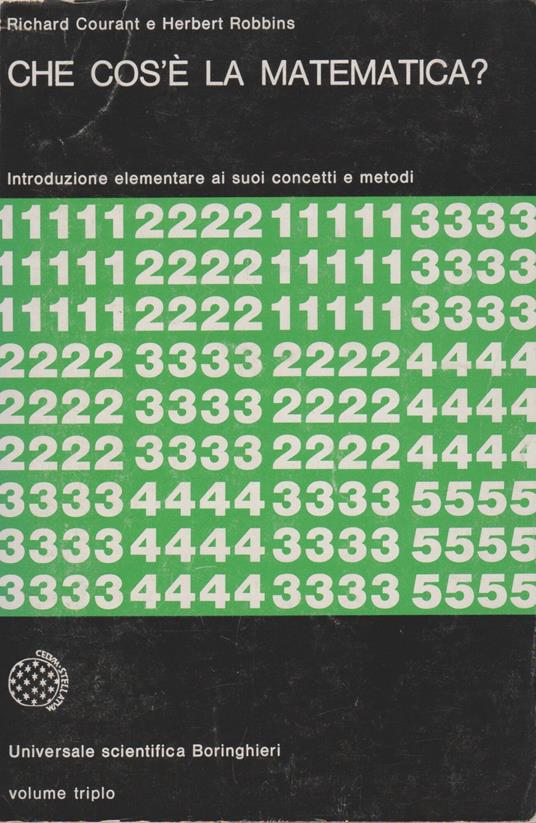 CHE COS'E' LA MATEMATICA? Introduzione elementare ai suoi concetti e metodi - copertina