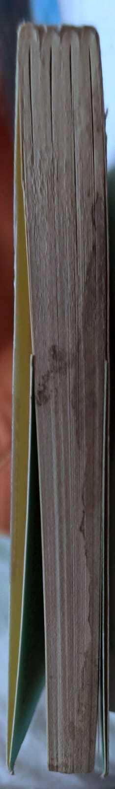 Filosofia al presente