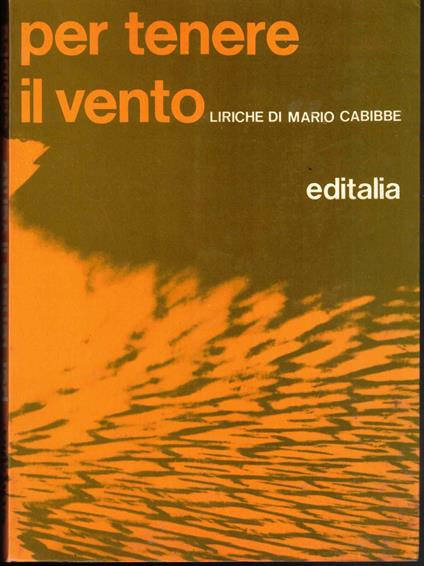 Per tenere il vento - Mario Cabibbo - copertina