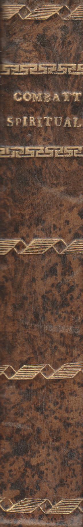 Il combattimento Spirituale del V.P.D