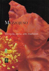 Mezzojuso : territorio, storia, arte, tradizione - copertina