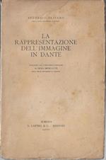 La rappresentazione dell'immagine in Dante